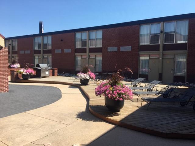 Boarders Inn & Suites By Cobblestone Hotels - Grand Island Extérieur photo